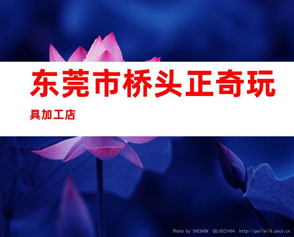 东莞市桥头正奇玩具加工店